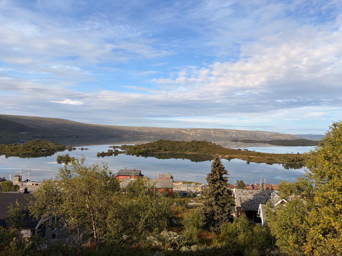 Vinternatt