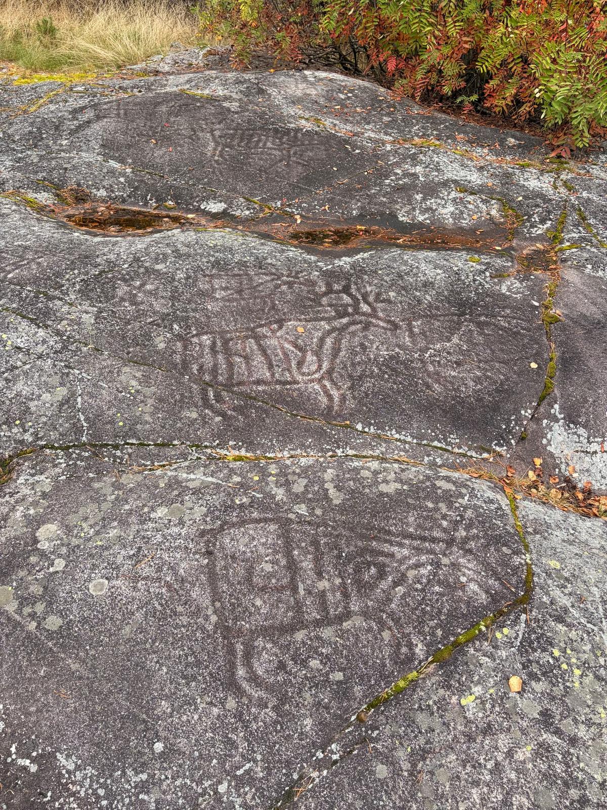 Helleristningene ved Møllerstufossen