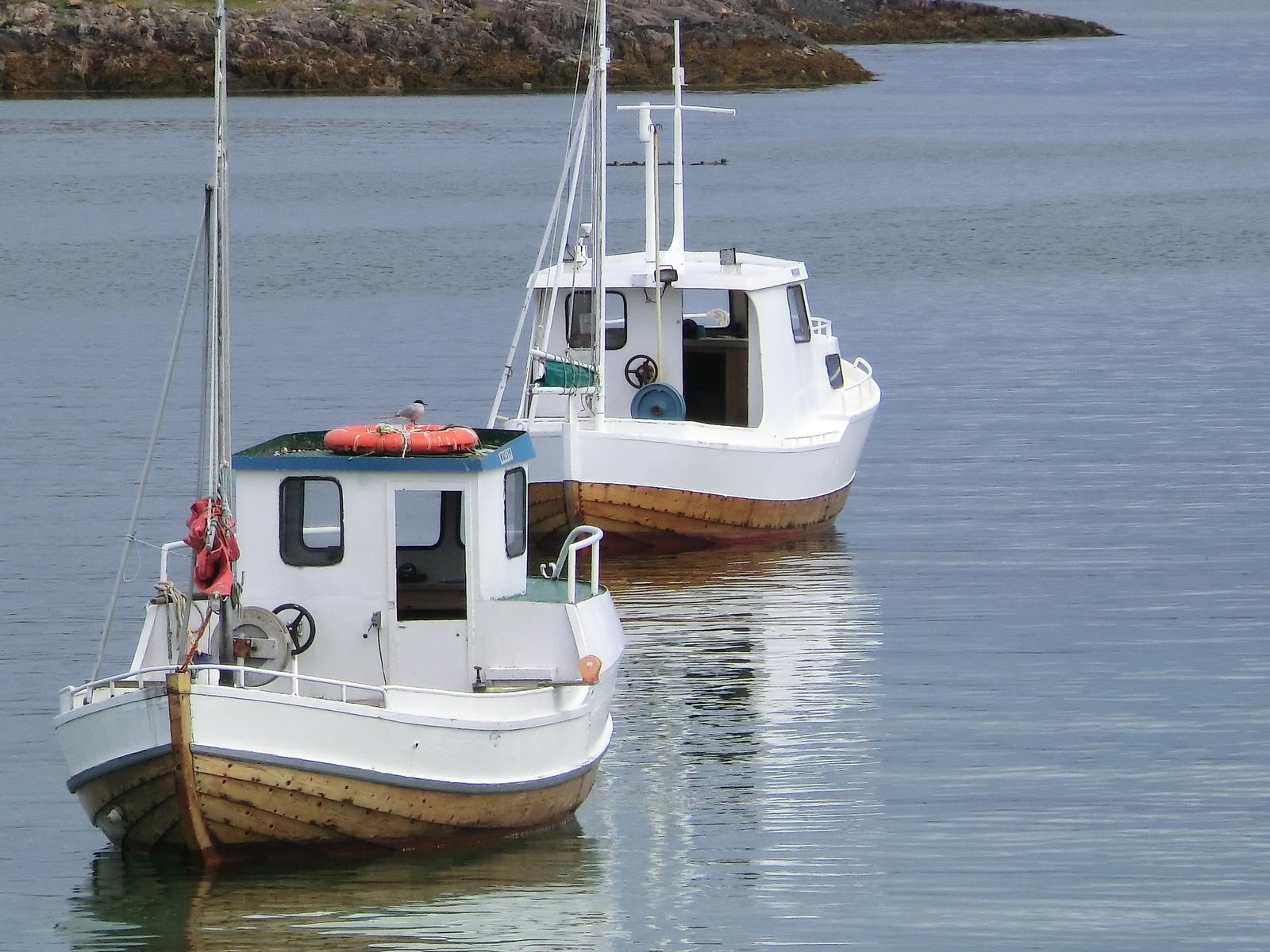 Herøy